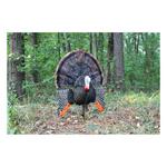 MOJO Outdoors Scoot-N-Shoot MAX Turkey Decoy - Thumbnail 3 of 3