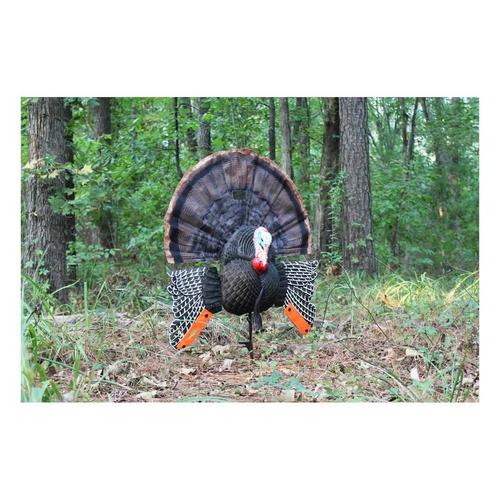 MOJO Outdoors Scoot-N-Shoot MAX Turkey Decoy - Primary Image