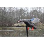 MOJO Outdoors Elite Series Mini Hen Mallard Spinning Wing Duck Decoy - Thumbnail 2 of 3