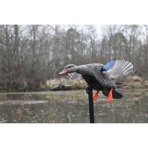 MOJO Outdoors Elite Series Mini Hen Mallard Spinning Wing Duck Decoy - Primary Image
