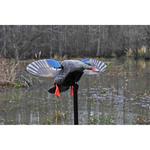 MOJO Outdoors Elite Series Mini Hen Mallard Spinning Wing Duck Decoy - Thumbnail 3 of 3