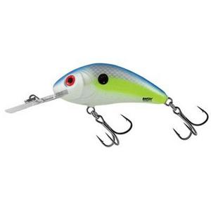 Sexy Shad - Salmo Rattlin Hornet Floating Crankbait