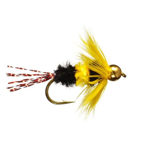 Mihulka's Bluegill Bee - Primary Image