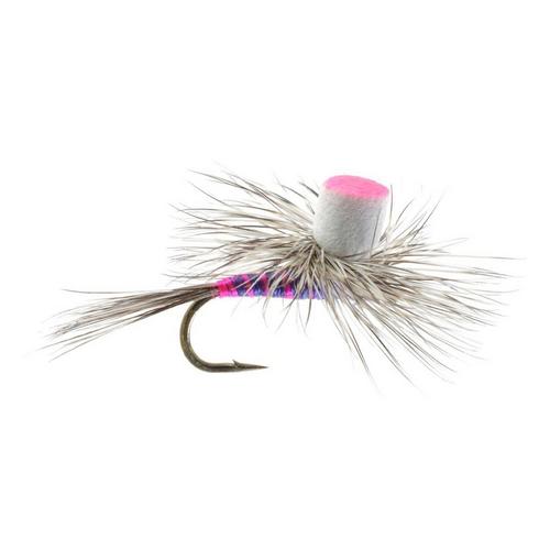 Rainy's Flies J's Purple Nurple Dry Fly - Primary Image