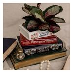 Steel Mill & Co Jane Austen Stacked Books Planter - Thumbnail 4 of 6