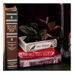 Steel Mill & Co Edgar Allan Poe Stacked Books Planter - Thumbnail 5 of 5