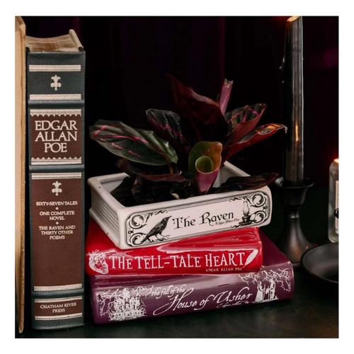 Steel Mill & Co Edgar Allan Poe Stacked Books Planter - Primary Image