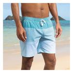 Men's Chubbies Lined 5.5" Swim Trunks - Thumbnail 4 of 7