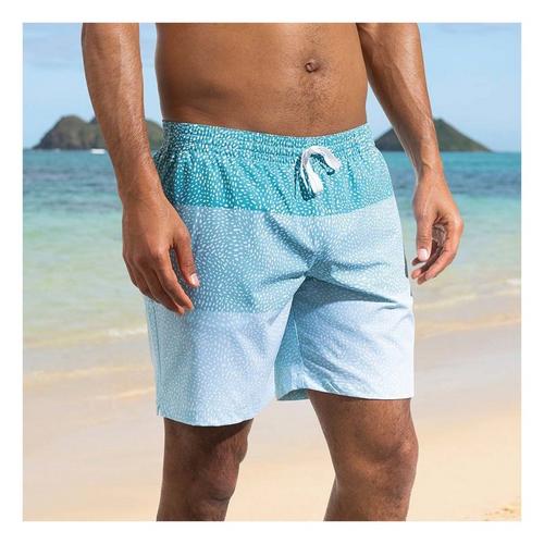 Men's Chubbies Lined 5.5" Swim Trunks - Primary Image