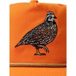 Adult Duck Camp Quail Forever Bobwhite Snapback Hat - Thumbnail 3 of 6