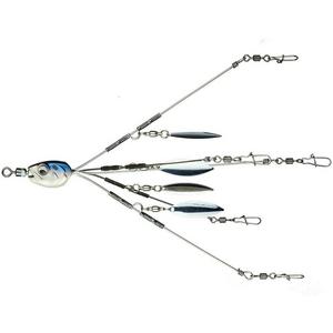 4K Shad - 6th Sense Divine Umbrella Rig