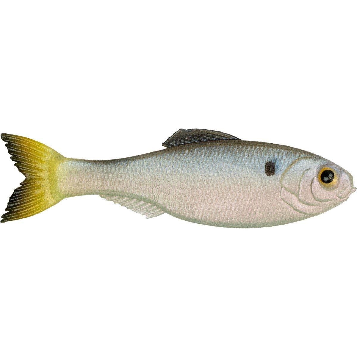 17209::Clearwater Shad - 6th Sense Fishing Panorama Swimbait