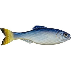 Glass Minnow - 6th Sense Fishing Panorama Swimbait