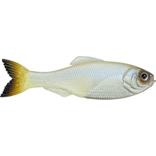 Panorama - Primary Image