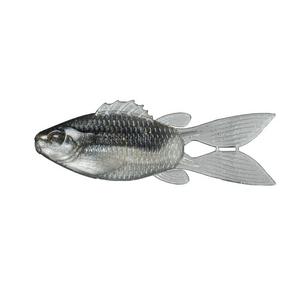 Gizzard Shad - 6th Sense Flipgill
