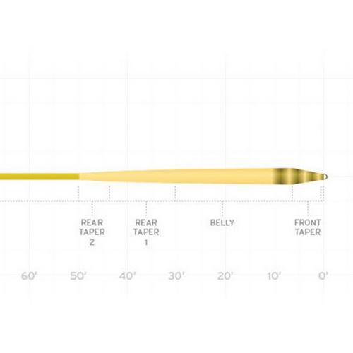 Scientific Anglers Amplitude Smooth Infinity Line - Primary Image