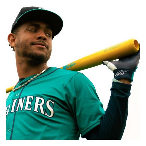 Victus Julio Rodriguez JRODSHOW Pro Reserve Maple Baseball Bat - Primary Image