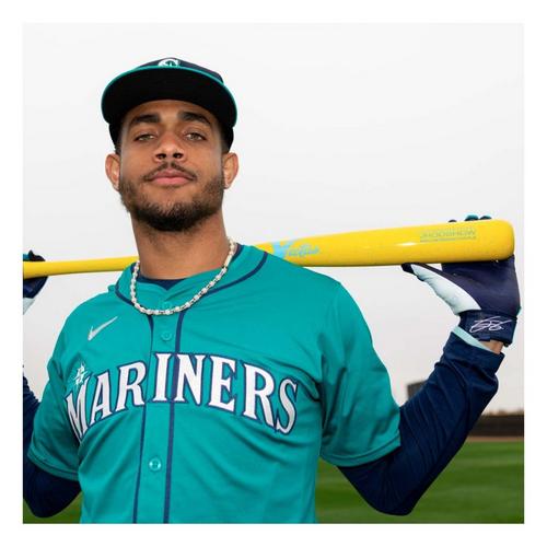 Victus Julio Rodriguez JRODSHOW Pro Reserve Maple Baseball Bat - Primary Image