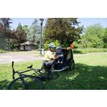 Burley Bee Child Bike Trailer - Thumbnail 15 of 15