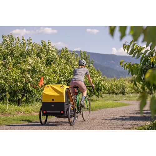 Burley Bee Child Bike Trailer - Primary Image