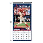 John F Turner and Co St. Louis Cardinals  2026 Wall Calendar - Thumbnail 3 of 3