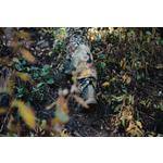 Men's Sitka Mountain Pants - Thumbnail 8 of 8