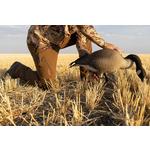 Men's Sitka Grinder Pants - Thumbnail 5 of 5