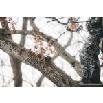 Men's Sitka Stratus Bibs - Thumbnail 8 of 8