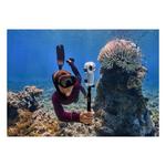 Insta360 X4 8K 360 Degree Action Camera - Thumbnail 10 of 14