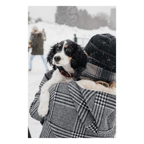 Women's Stormy Kromer The Swallowtail Hooded Fleece Jacket - Primary Image