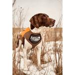 Scheels Outfitters Performance Dog Hunting Vest - Thumbnail 6 of 6