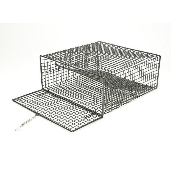 SCHEELS OUTFITTERS Rectangle Crawfish Trap
