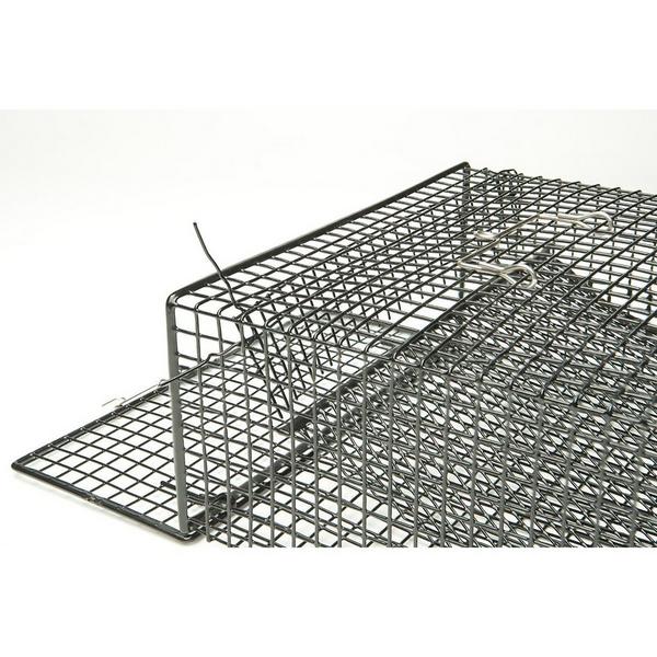 Scheels Outfitters Rectangle Crawfish Trap