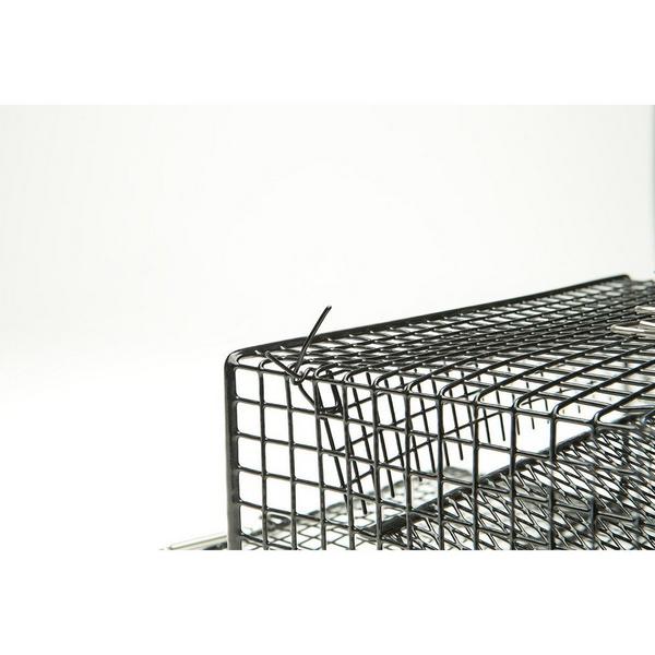 Scheels Outfitters Rectangle Crawfish Trap