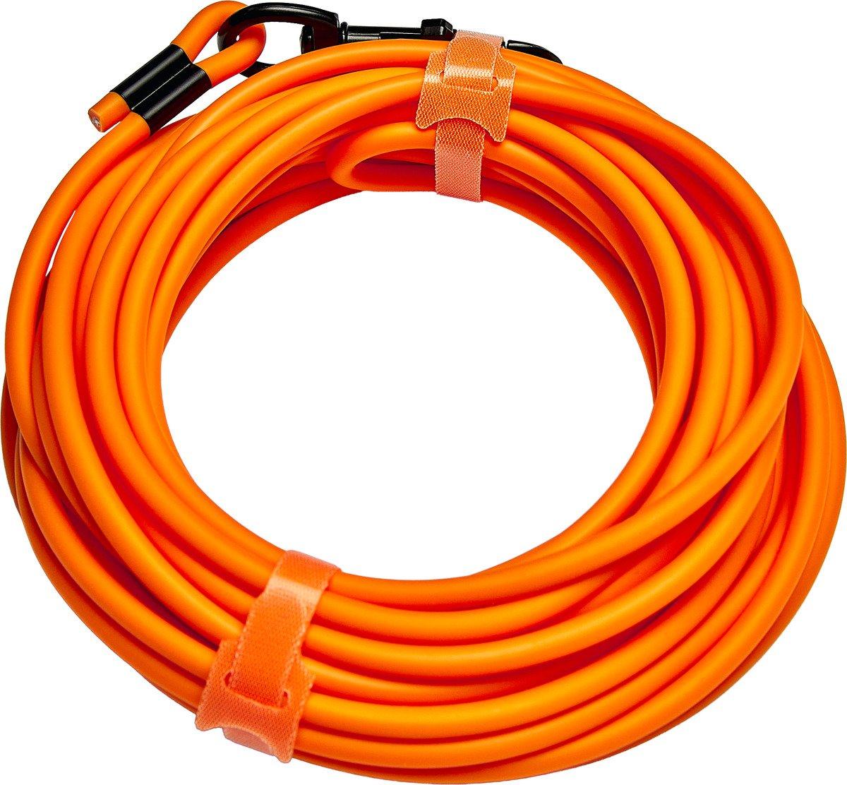 Scheels Outfitters Dog Training Lead