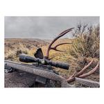 Nightforce NX6 5-30x50mm Riflescope - Thumbnail 12 of 13