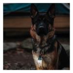 MPOWERD Luci Solar Site Lights - Thumbnail 4 of 9