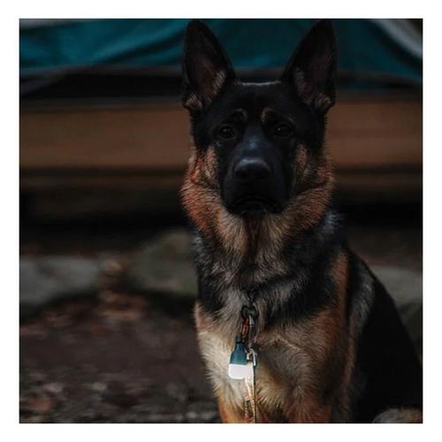 MPOWERD Luci Solar Site Lights - Primary Image