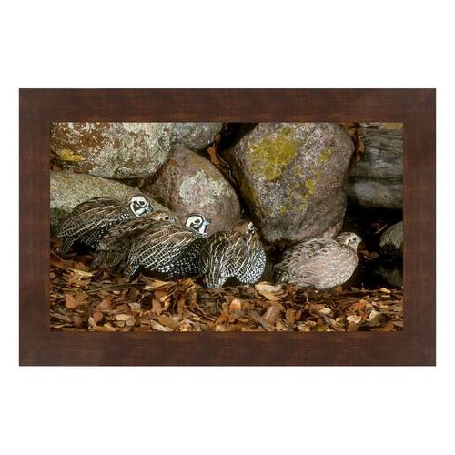 Print & Frame Mearns Quail Group by Terry & Kay Scheurer - Primary Image