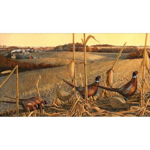 2020-2021 Pheasants Forever Print of the Year - Up with the Sun by Stephen Hamrick - Paper Print Only - Primary Image