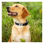 ROCT Outdoor Trailhead Padded Dog Collar - Thumbnail 2 of 3