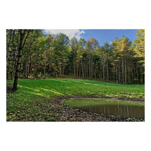 Domain Outdoor Hot Chic Seed - Primary Image