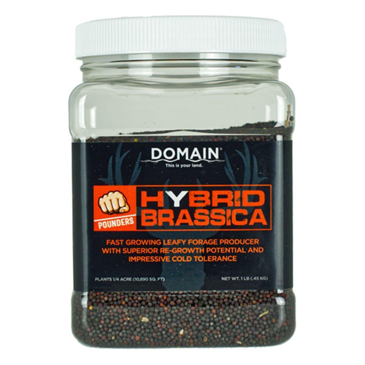 Domain Outdoor Hybrid Brassica Seed