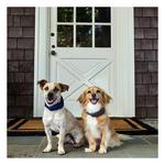 Halo 4 Dog Fence and GPS Dog Collar - Thumbnail 3 of 5