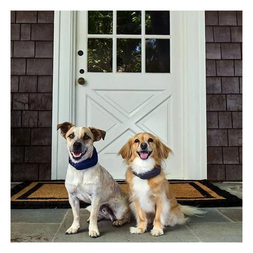 Halo 4 Dog Fence and GPS Dog Collar - Primary Image