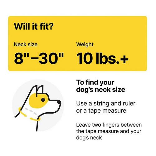 Halo 4 Dog Fence and GPS Dog Collar - Primary Image