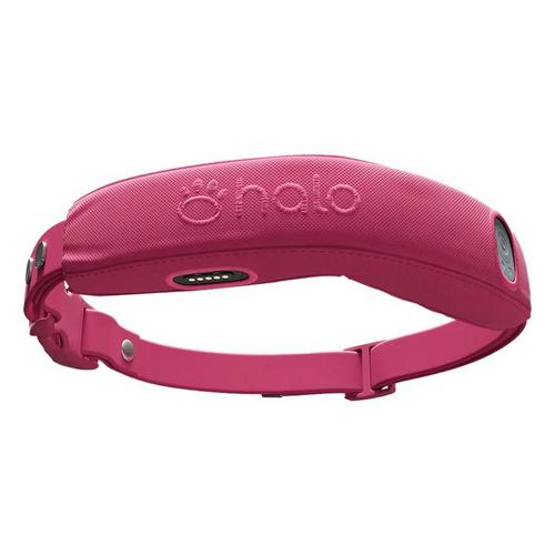 Halo 4 Dog Fence and GPS Dog Collar - Primary Image
