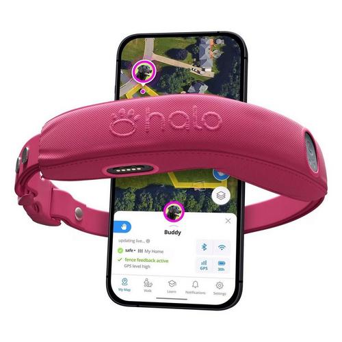 Halo 4 Dog Fence and GPS Dog Collar - Primary Image