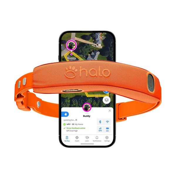 Halo 5 Dog Fence and GPS Dog Collar