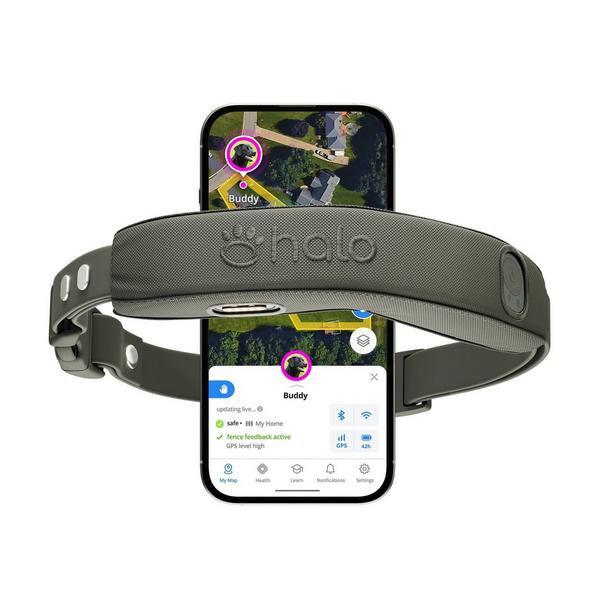 Halo 5 Dog Fence and GPS Dog Collar